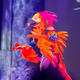 Illustration for article titled The Most Mind-Blowing and Astonishing Cosplay From BlizzCon 2015!